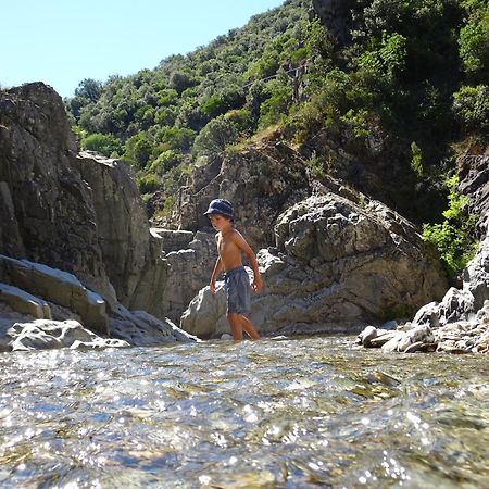 La Frigoule, Un Gite Au Coeur Du Parc Des Cevennes Generargues المظهر الخارجي الصورة