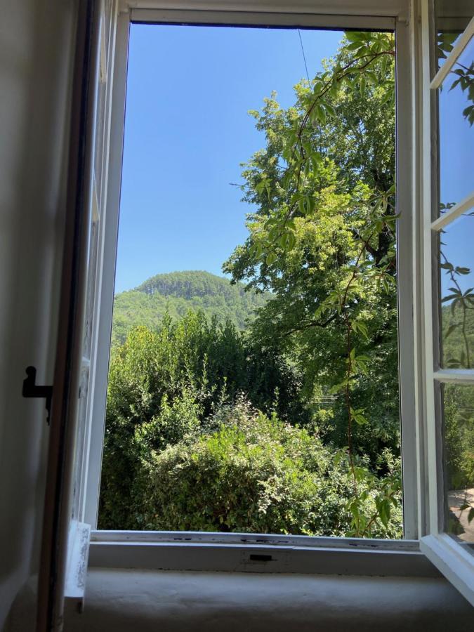 La Frigoule, Un Gite Au Coeur Du Parc Des Cevennes Generargues المظهر الخارجي الصورة